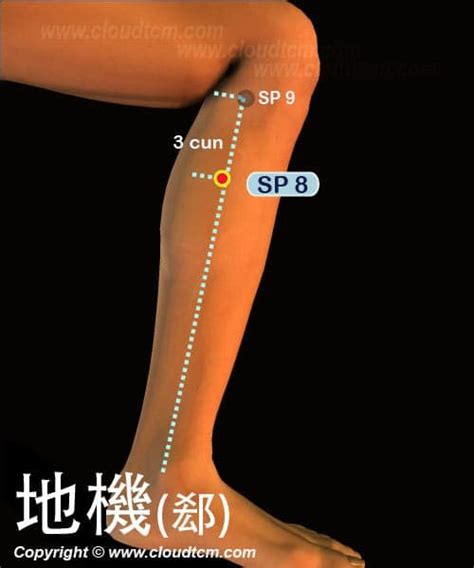 地經穴|地機穴可改善腹痛腹脹胃痛,食慾不振